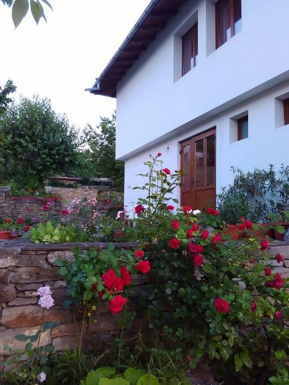 Fenix Rooms Arbanasi Dış mekan fotoğraf