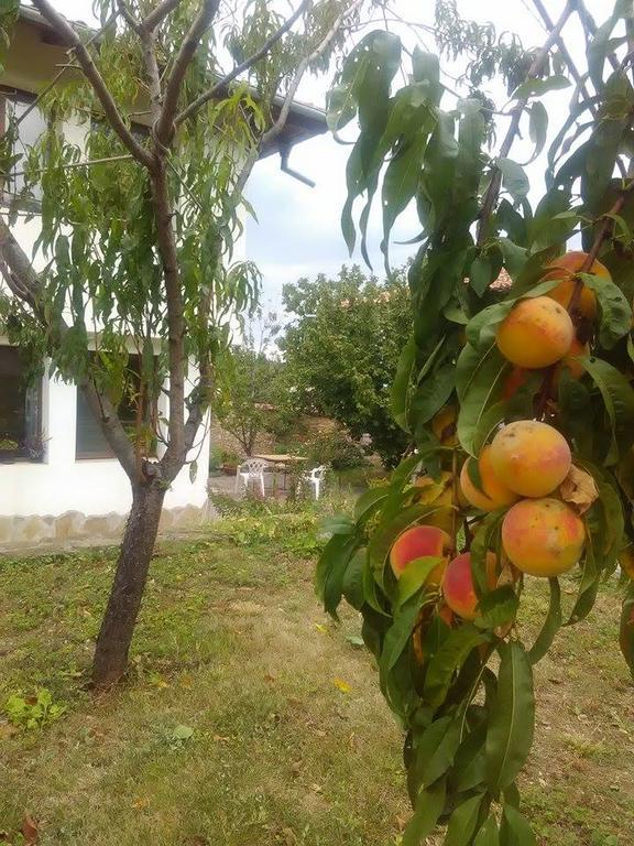 Fenix Rooms Arbanasi Dış mekan fotoğraf